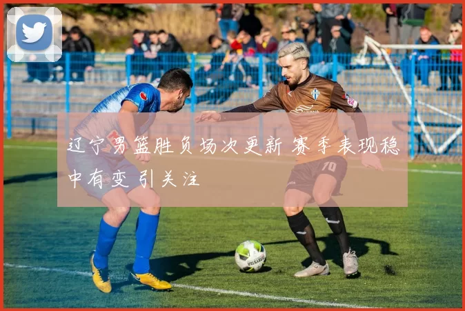 辽宁男篮胜负场次更新 赛季表现稳中有变 引关注