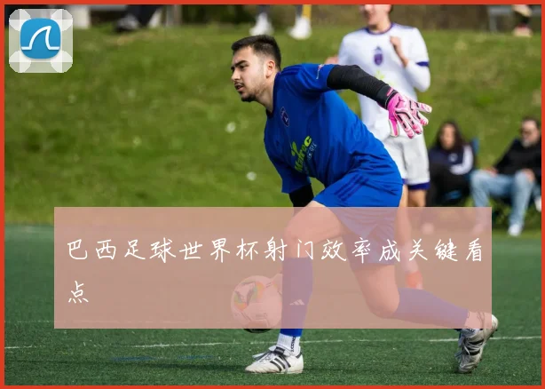 巴西足球世界杯射门效率成关键看点