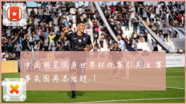 中国明星现身世界杯观赛引关注 赛事氛围再添话题_1