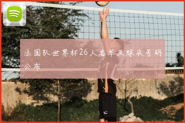 法国队世界杯26人名单及球衣号码公布